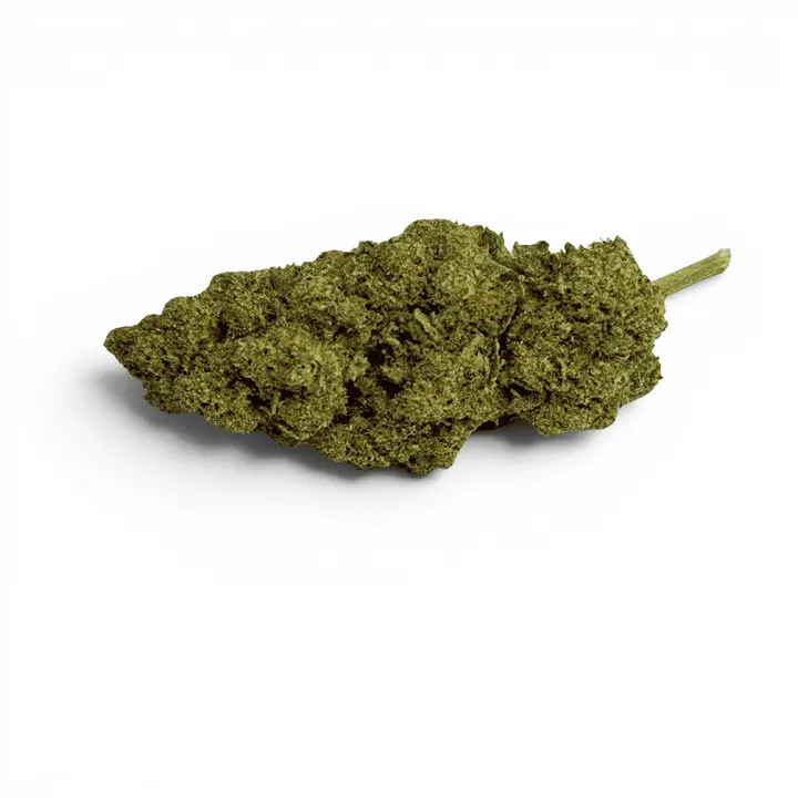 Gelato — vue 1