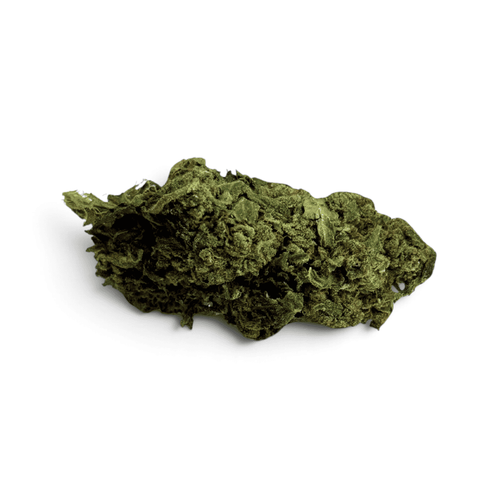 Tropical — vue 1