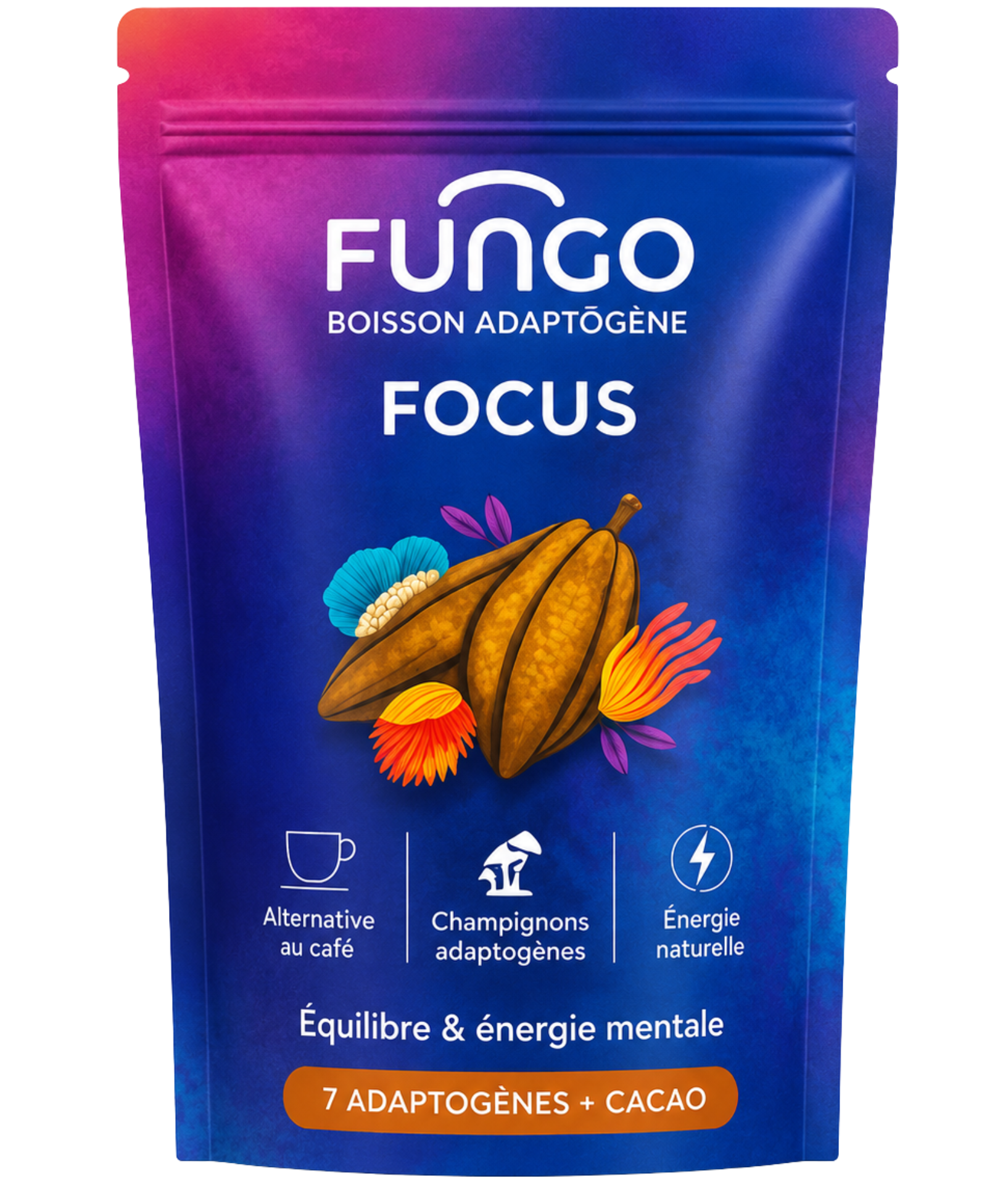 FOCUS  — vue 1