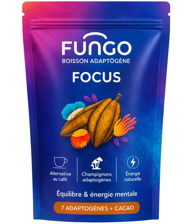FOCUS — vue 1